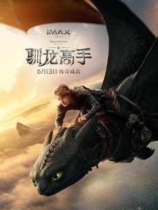 新·驯龙高手 How to Train Your Dragon (2025)