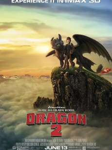驯龙高手2 How to Train Your Dragon 2 (2014)