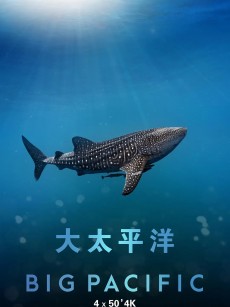 大太平洋 Big Pacific (2017)