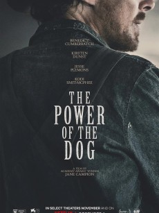 犬之力 The Power of the Dog (2021)