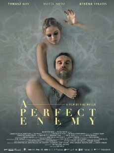 完美敌人 A Perfect Enemy (2020)