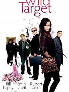 狂野目标 Wild Target (2010)