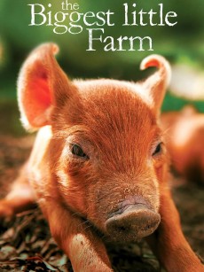 最大的小小农场 The Biggest Little Farm (2018)