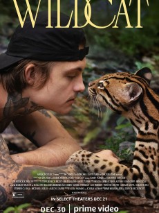 野猫 Wildcat (2022)