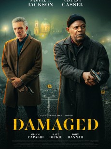 伤痕累累 Damaged (2024)