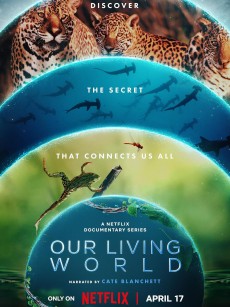我们的生物世界 Our Living World (2024)