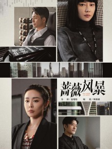 蔷薇风暴 (2024)