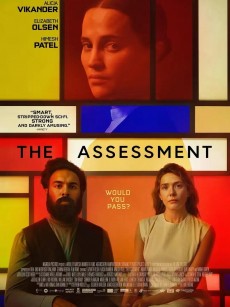 评估 The Assessment (2024)