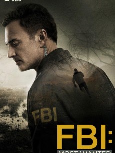 联邦调查局：通缉要犯 第一季 FBI: Most Wanted Season 1 (2020)