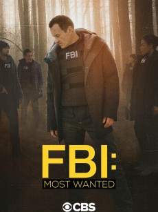 联邦调查局：通缉要犯 第二季 FBI: Most Wanted Season 2 (2020)