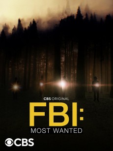 联邦调查局：通缉要犯 第四季 FBI: Most Wanted Season 4 (2022)