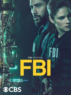 联邦调查局 第五季 FBI Season 5 Season 5 (2022)