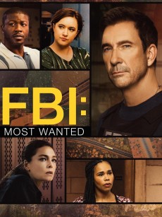 联邦调查局：通缉要犯 第五季 FBI: Most Wanted Season 5 (2024)