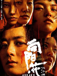 向阳·花 (2025)