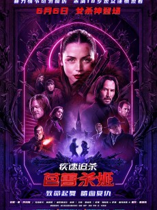 疾速追杀：芭蕾杀姬 Ballerina (2025)