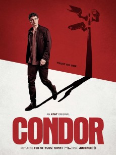 秃鹰 第二季 Condor Season 2 (2020)