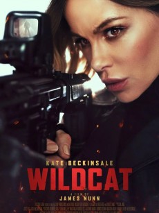 限时营救 Wildcat (2025)