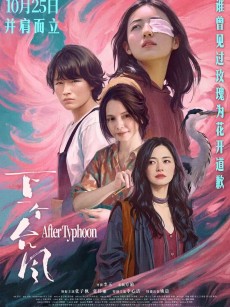 下一个台风 (2025)
