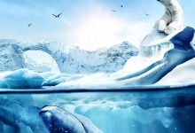 北极奇观 Wonders of the Arctic (2014)