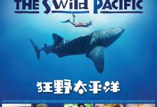 狂野太平洋 The Wild Pacific (2016)