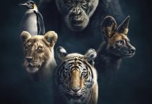 王朝 Dynasties (2018)