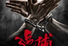 追捕 Manhunt (2017)