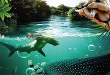 进化 Evolution(2018)