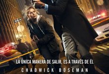21座桥 21 Bridges (2019)