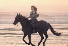 黑神驹 Black Beauty (2020)