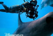 《海豚礁》幕后特辑 Diving with Dolphins (2020)