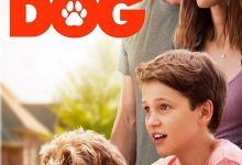 家有儿女之最佳拍档 Think Like a Dog (2020)