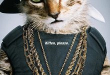 基努猫 Keanu (2016)