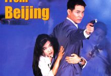 中南海保镖 中南海保镳 (1994)