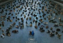 白色上帝 Fehér isten (2014)