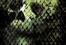狂蟒之灾2 Anacondas: The Hunt for the Blood Orchid (2004)