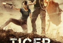 猛虎还活着 Tiger Zinda Hai (2017)