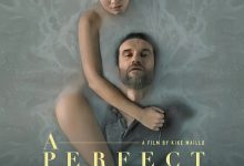 完美敌人 A Perfect Enemy (2020)