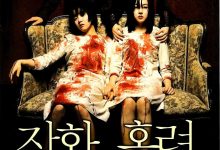 蔷花，红莲 장화, 홍련 (2003)