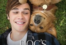 一条狗的使命 A Dog’s Purpose (2017)
