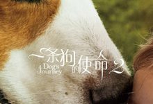 一条狗的使命2 A Dog’s Journey (2019)