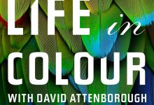生命之色 Life In Colour (2021)