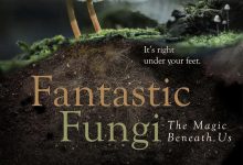 神奇的真菌 Fantastic Fungi (2019)