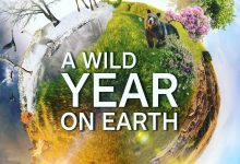 狂野地球 A Wild Year on Earth (2020)