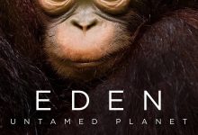 伊甸园：最后的秘境 Eden: Untamed Planet (2021)