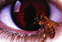糖果人 Candyman (1992)
