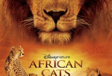 非洲猫科 African Cats (2011)