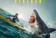 暗礁狂鲨 The Reef: Stalked (2022)