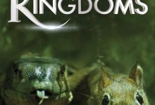 隐秘王国 Hidden Kingdoms (2014)