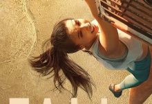 坠落 Fall (2022)