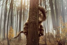 野兽家园 Where the Wild Things Are (2009)